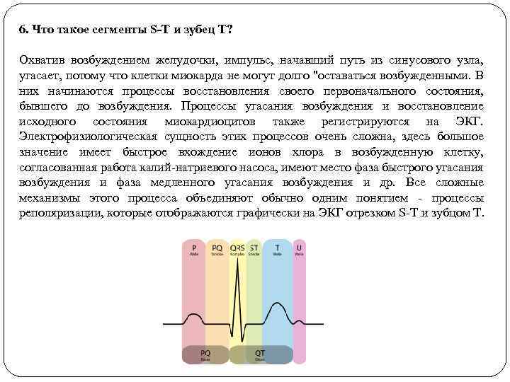 6. Что такое сегменты S-T и зубец T? Охватив возбуждением желудочки, импульс, начавший путь