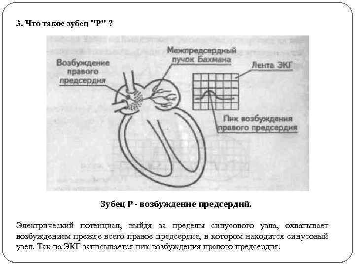 3. Что такое зубец 