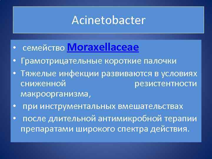 Аcinetobacter • семейство Moraxellaceae • Грамотрицательные короткие палочки • Тяжелые инфекции развиваются в условиях