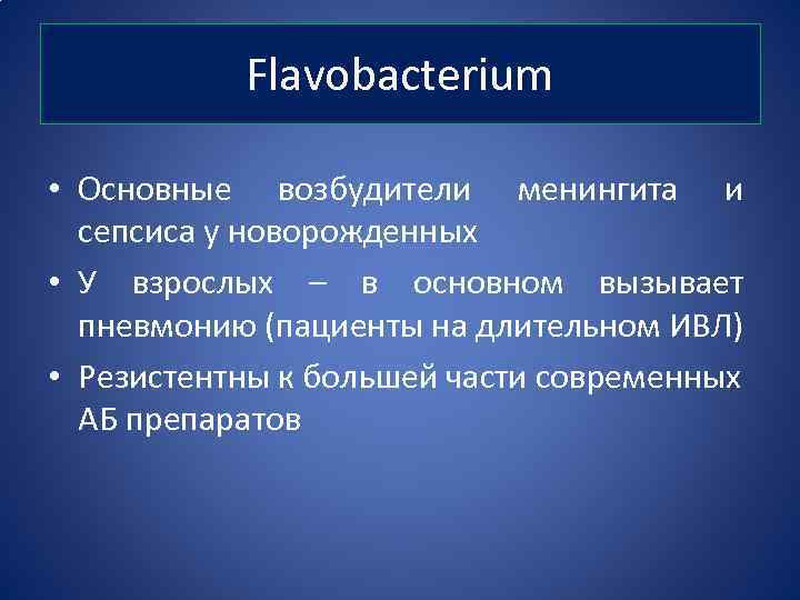 Flavobacterium • Основные возбудители менингита и сепсиса у новорожденных • У взрослых – в