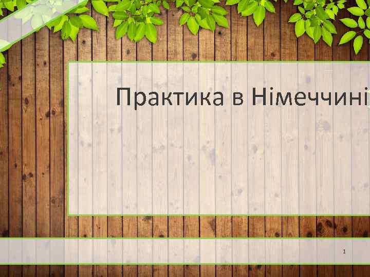 Практика в Німеччині 1 