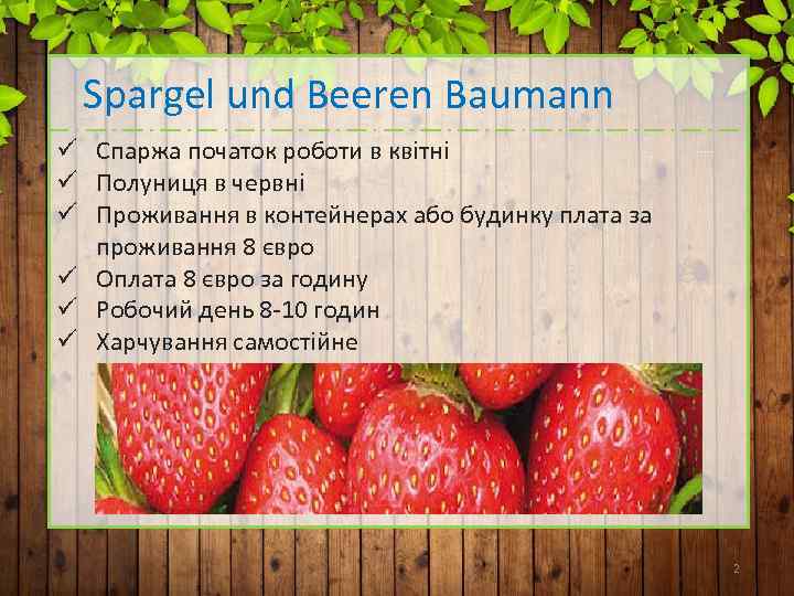 Spargel und Beeren Baumann ü Спаржа початок роботи в квітні ü Полуниця в червні