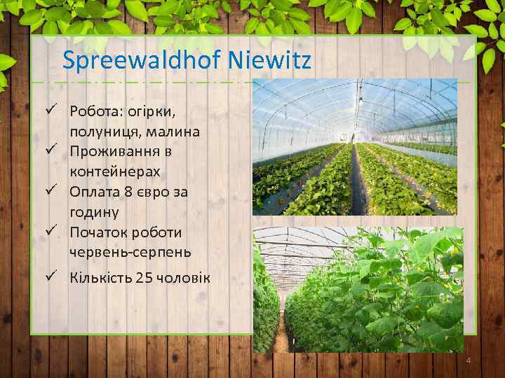 Spreewaldhof Niewitz ü Робота: огірки, полуниця, малина ü Проживання в контейнерах ü Оплата 8