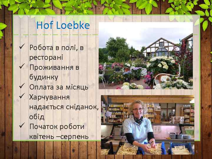 Hof Loebke ü Робота в полі, в ресторані ü Проживання в будинку ü Оплата