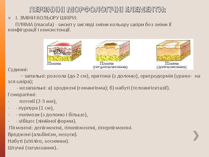 ПЕРВИННІ МОРФОЛОГІЧНІ ЕЛЕМЕНТИ: » І. ЗМІНИ КОЛЬОРУ ШКІРИ: ПЛЯМА (macula) - висип у вигляді