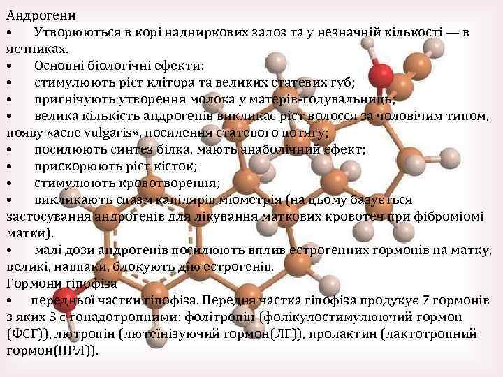 Андрогени • Утворюються в корі надниркових залоз та у незначній кількості — в яєчниках.