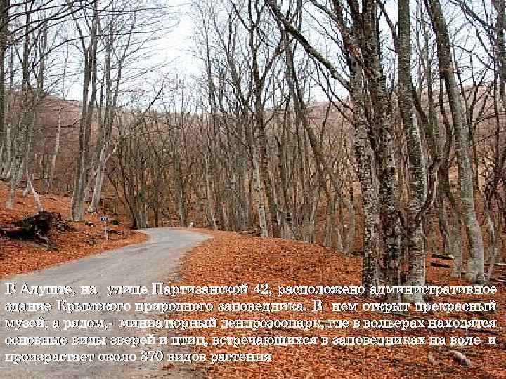 АЛУШТЕНСКИЙ ЗАПОВЕДНИК В Алуште, на улице Партизанской 42, расположено административное здание Крымского природного заповедника.