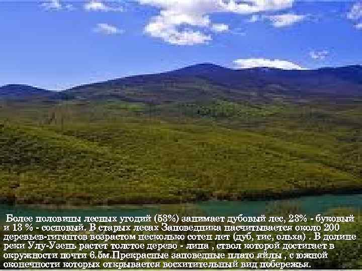 Более половины лесных угодий (53%) занимает дубовый лес, 23% - буковый и 13 %