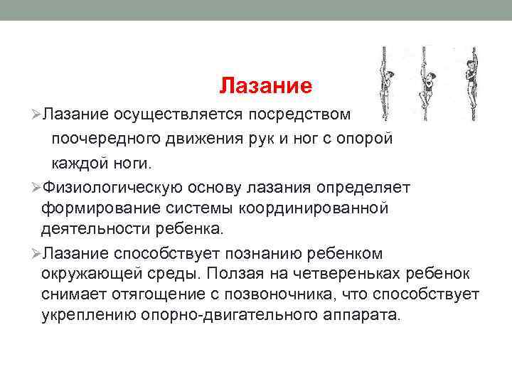 Лазание ØЛазание осуществляется посредством поочередного движения рук и ног с опорой каждой ноги. ØФизиологическую