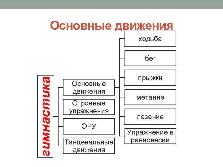 Основные движения ходьба гимнастика бег Основные движения Строевые упражнения ОРУ Танцевальные движения прыжки метание