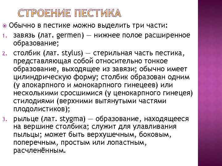 Обычно в пестике можно выделить три части: 1. завязь (лат. germen) — нижнее полое