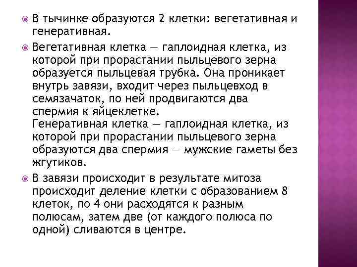 В тычинке образуются 2 клетки: вегетативная и генеративная. Вегетативная клетка — гаплоидная клетка, из