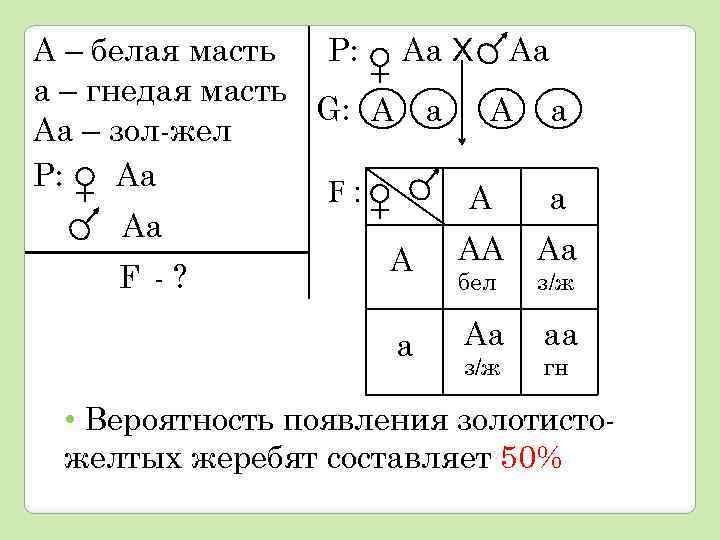 Р: Аа Х Аа А – белая масть а – гнедая масть G: А