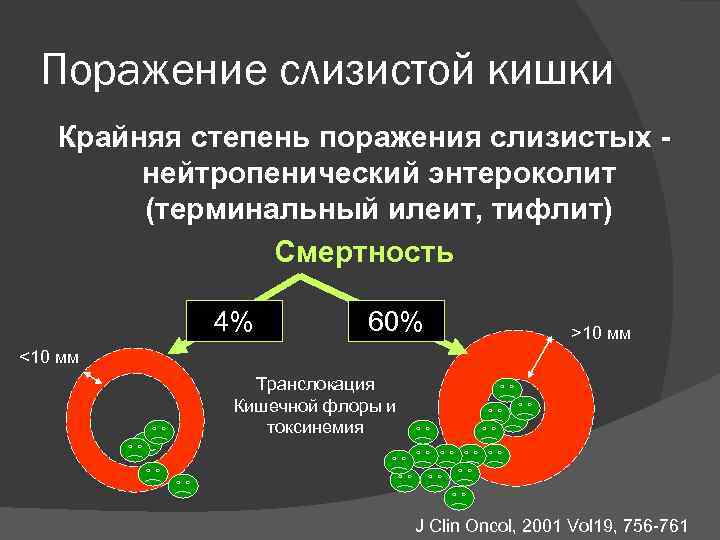 Тифлит это. Нейтропенический энтероколит. Тифлит клинические рекомендации.