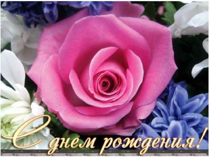 ДОРОГАЯ НИНОЧКА! 