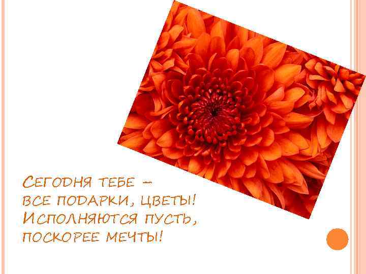 СЕГОДНЯ ТЕБЕ – ВСЕ ПОДАРКИ, ЦВЕТЫ! ИСПОЛНЯЮТСЯ ПУСТЬ, ПОСКОРЕЕ МЕЧТЫ! 
