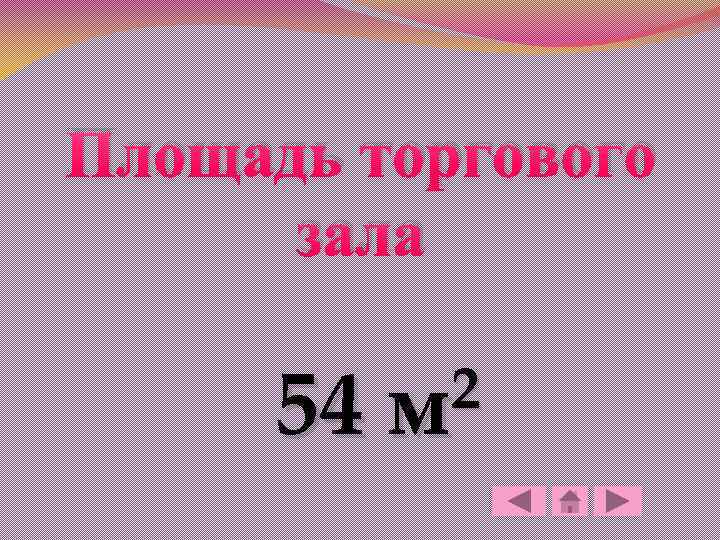 Площадь торгового зала 54 2 м 
