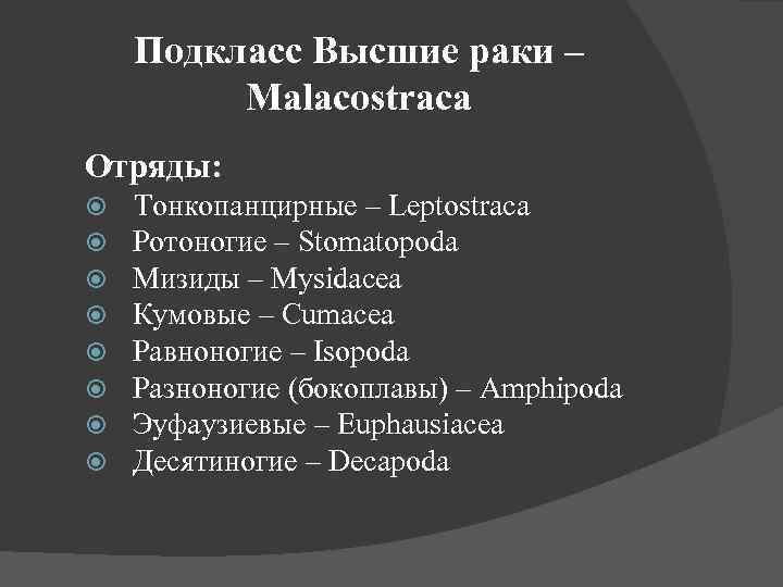 Подкласс Высшие раки – Malacostraca Отряды: Тонкопанцирные – Leptostraca Ротоногие – Stomatopoda Мизиды –