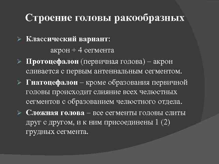 Строение головы ракообразных Классический вариант: акрон + 4 сегмента Ø Протоцефалон (первичная голова) –
