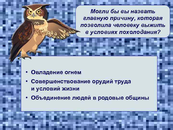 Могли бы вы назвать главную причину, которая позволила человеку выжить в условиях похолодания? •