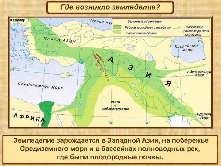 Где возникло земледелие? А З И Я АФР ИКА Земледелие зарождается в Западной Азии,