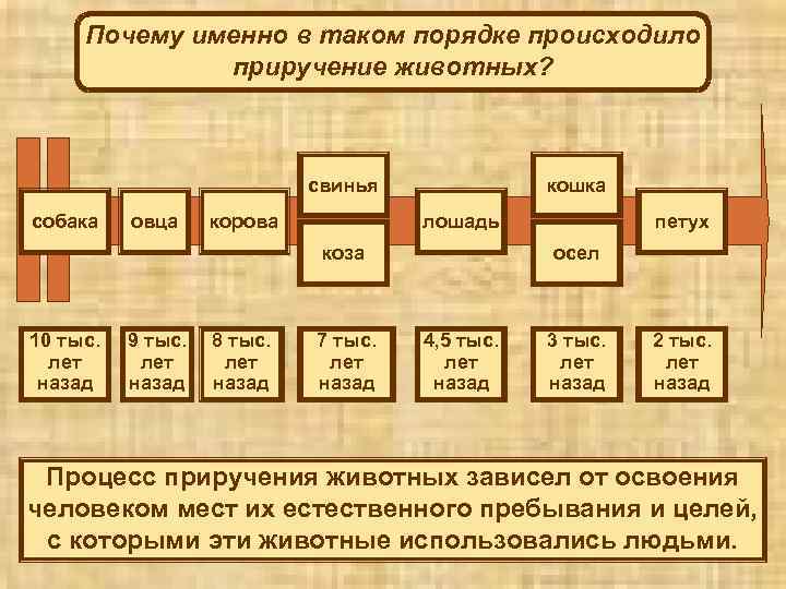 Почему именно в таком порядке происходило приручение животных? свинья собака овца корова кошка лошадь