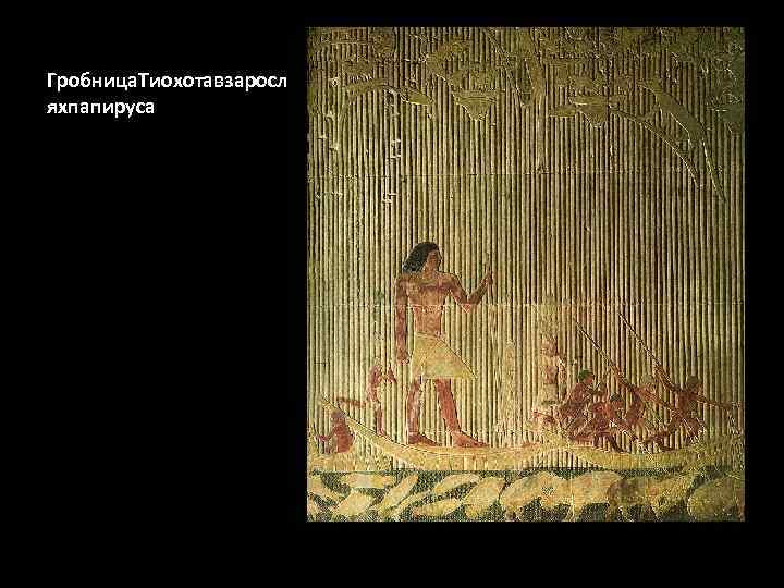 Гробница. Тиохотавзаросл яхпапируса 