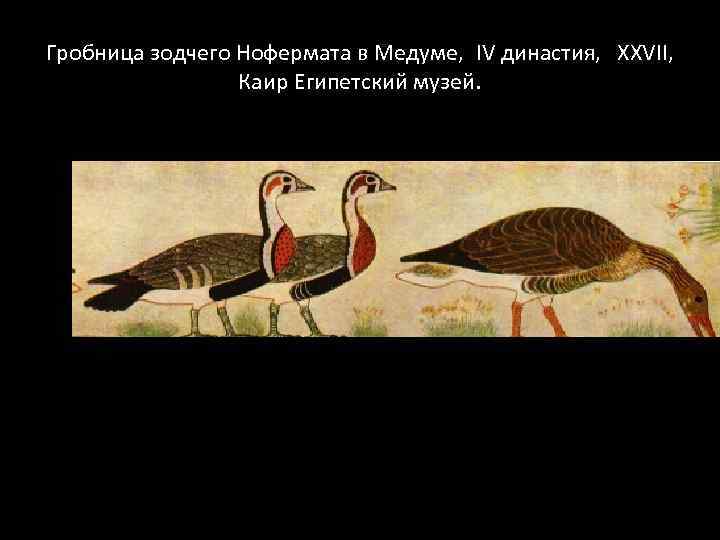 Гробница зодчего Нофермата в Медуме, IV династия, ХXVII, Каир Египетский музей. 