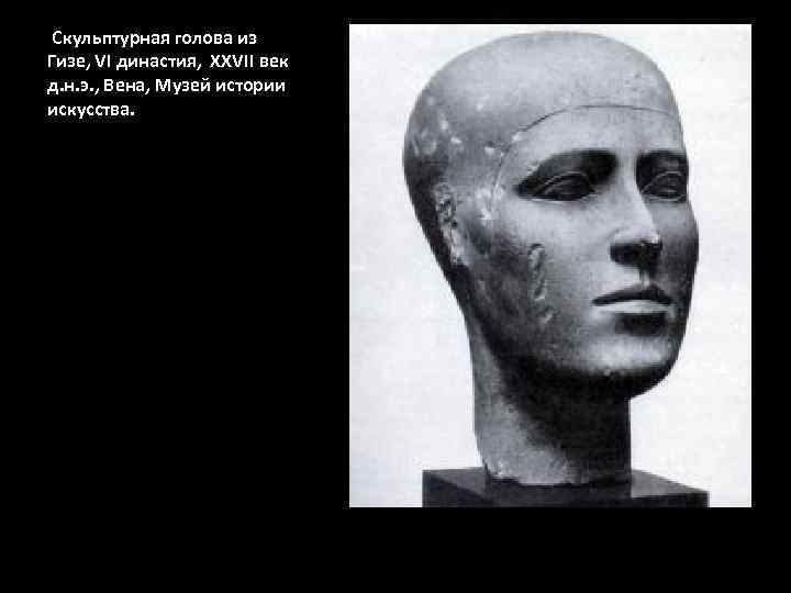  Скульптурная голова из Гизе, VI династия, XXVII век д. н. э. , Вена,