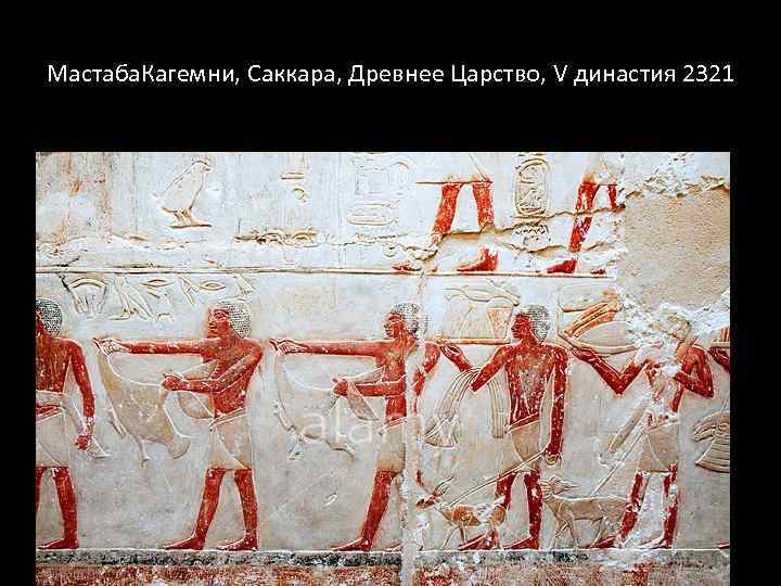 Мастаба. Кагемни, Саккара, Древнее Царство, V династия 2321 