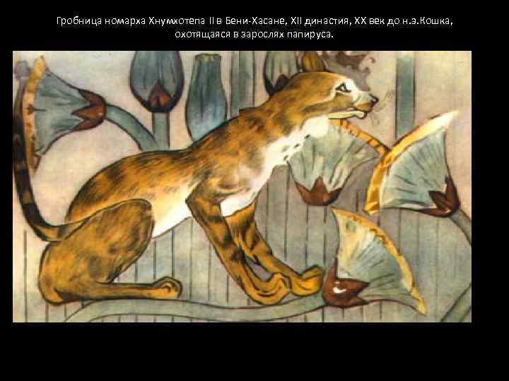 Гробница номарха Хнумхотепа II в Бени-Хасане, XII династия, ХХ век до н. э. Кошка,
