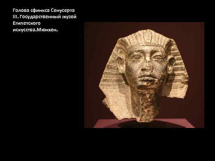 Голова сфинкса Сенусерта III. Государственный музей Египетского искусства. Мюнхен. 