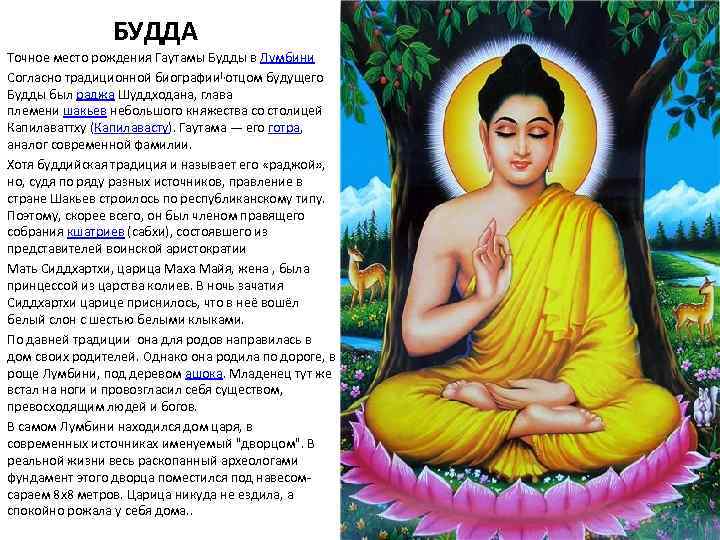 Где родился гаутама страна. Будда Сиддхартха Гаутама Шакьямуни. Будда - Сиддхартха Гаутама Шакьямуни краткая история. Сиддхартха Гаутама (Будда) таблица. Рождение Сиддха́ртха Гаута́ма.