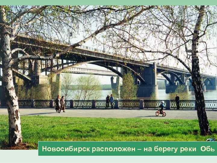 Новосибирск расположен – на берегу реки Обь 