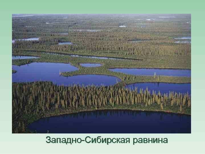 Западно-Сибирская равнина 