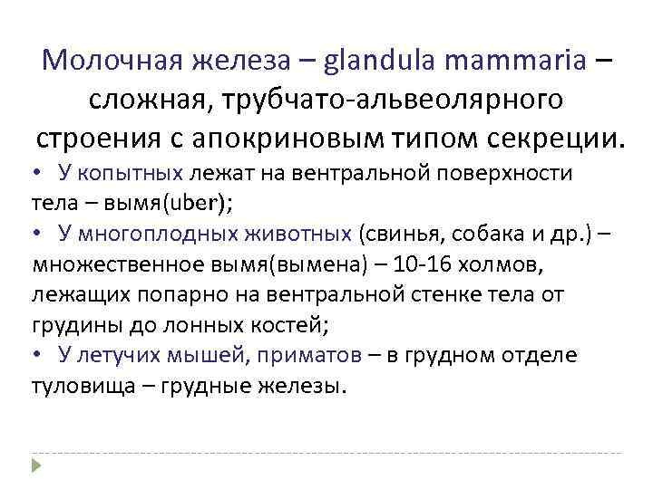 Молочная железа – glandula mammaria – сложная, трубчато-альвеолярного строения с апокриновым типом секреции. •