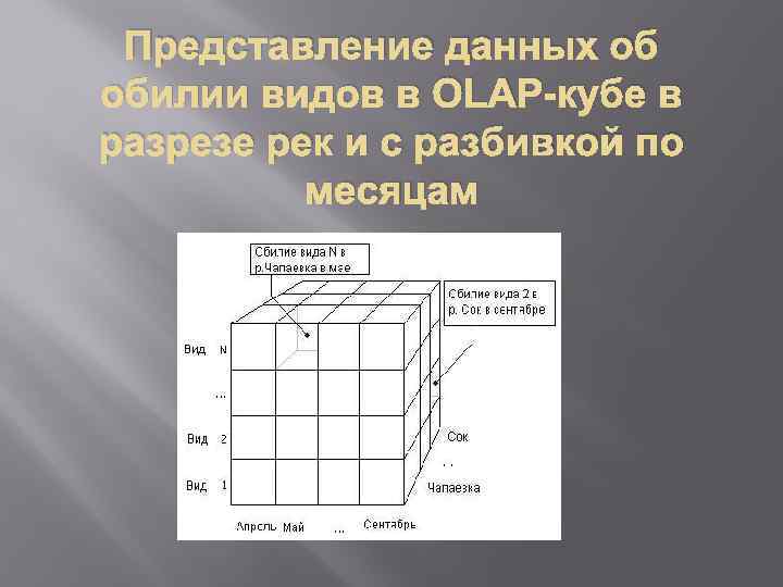 Представление данных об обилии видов в OLAP-кубе в разрезе рек и с разбивкой по