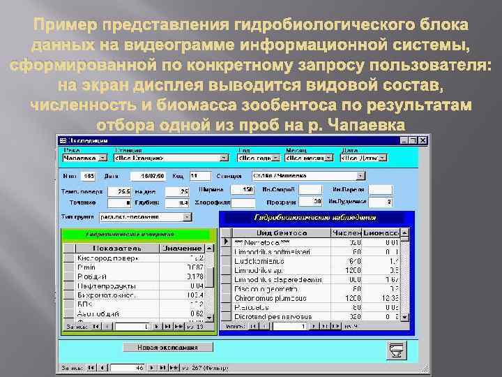 Пример представления гидробиологического блока данных на видеограмме информационной системы, сформированной по конкретному запросу пользователя: