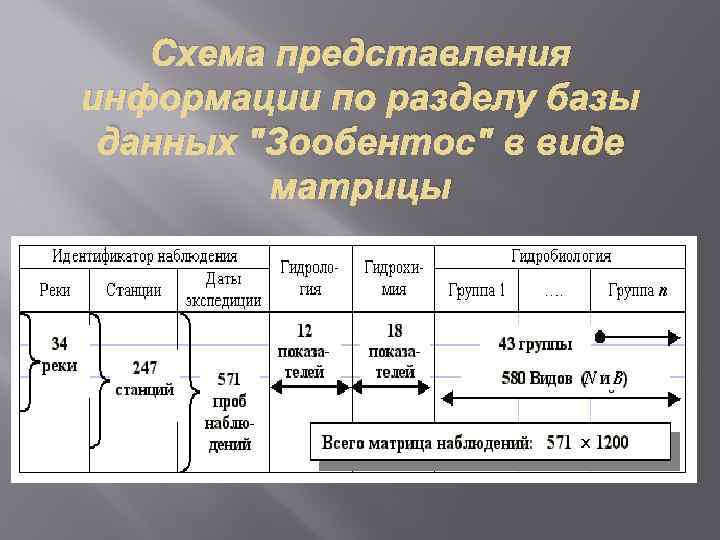 Схема представления информации по разделу базы данных 