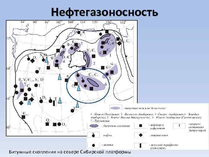 Карта нефтегазоносности сибирской платформы