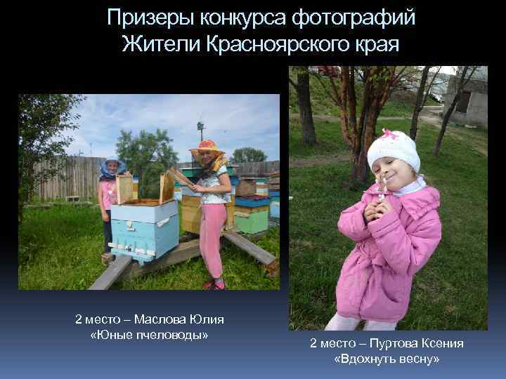 Призеры конкурса фотографий Жители Красноярского края 2 место – Маслова Юлия «Юные пчеловоды» 2