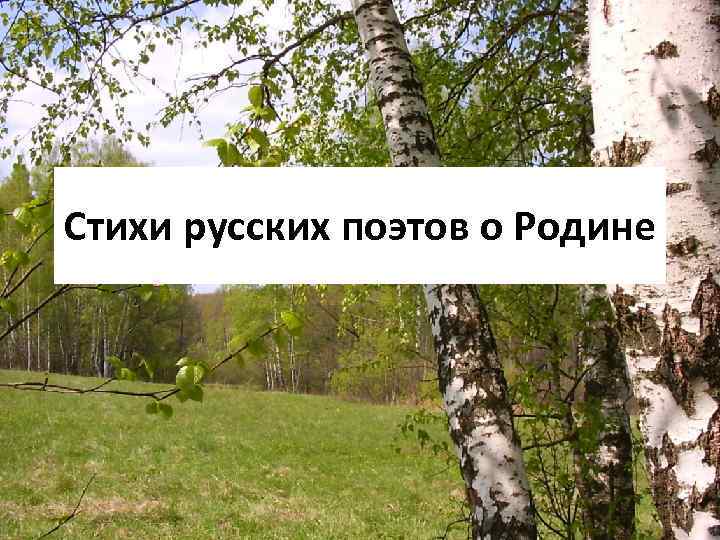 Стихи русских поэтов о Родине 