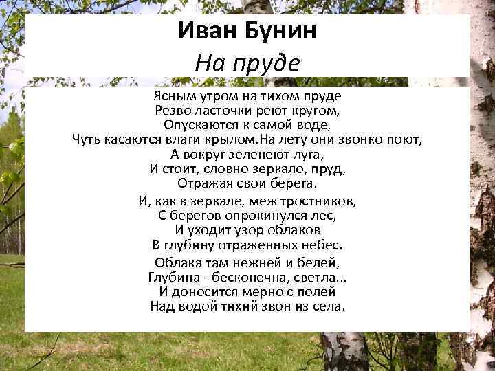 Иван Бунин На пруде Ясным утром на тихом пруде Резво ласточки реют кругом, Опускаются
