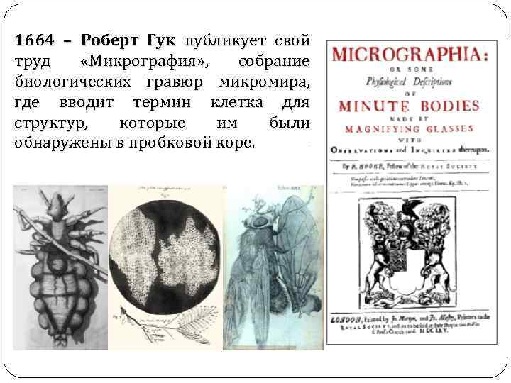 1664 – Роберт Гук публикует свой труд «Микрография» , собрание биологических гравюр микромира, где