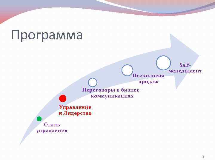 Программа Психология продаж Salfменеджмент Переговоры в бизнес - коммуникациях Управление и Лидерство Стиль управления