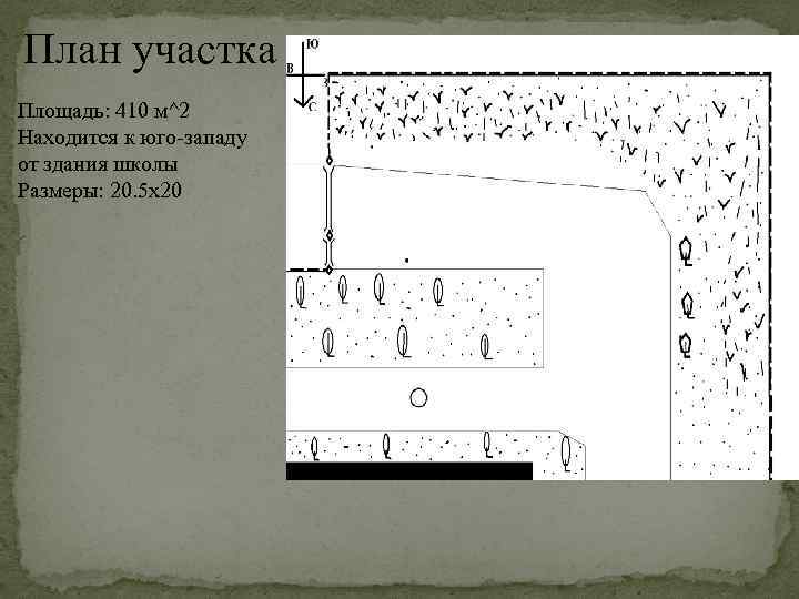 План участка Площадь: 410 м^2 Находится к юго-западу от здания школы Размеры: 20. 5