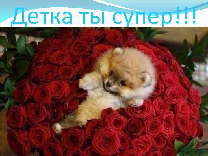 Детка ты супер!!! 