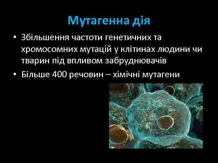 Мутагенна дія • Збільшення частоти генетичних та хромосомних мутацій у клітинах людини чи тварин