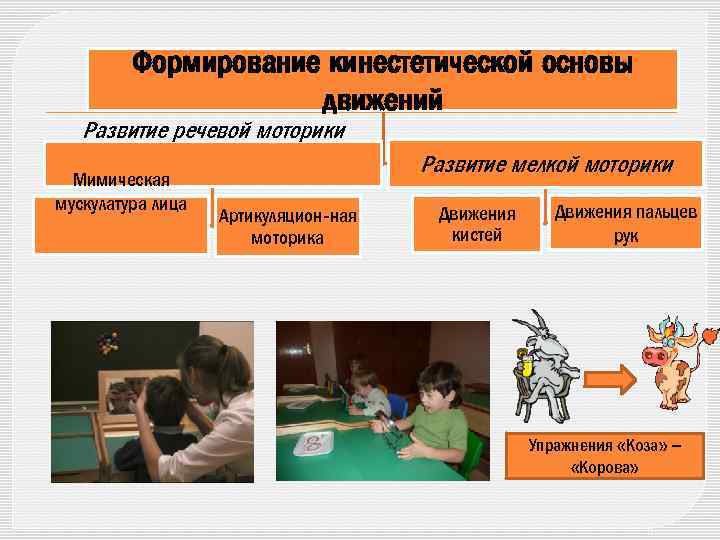 Формирование кинестетической основы движений Развитие речевой моторики Мимическая мускулатура лица Развитие мелкой моторики Артикуляцион-ная