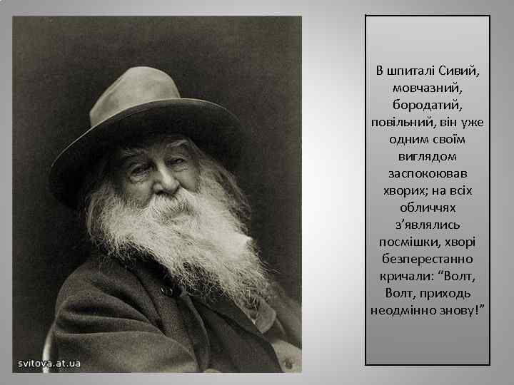 В шпиталі Сивий, мовчазний, бородатий, повільний, він уже одним своїм виглядом заспокоював хворих; на